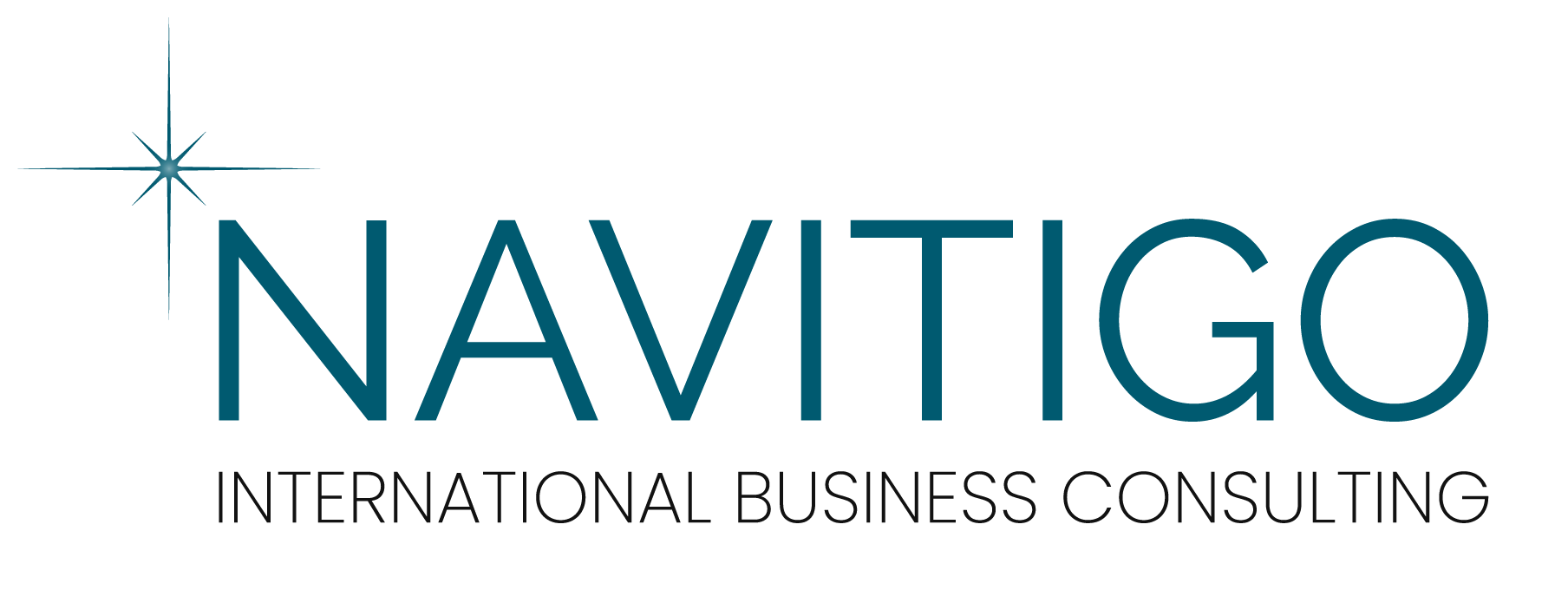 navitigo